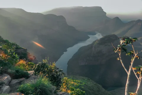 Mfafa Safaris